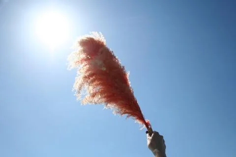 Sunny sky Foto stock