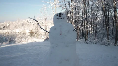 Sunny Snowman Stock Footage 44561204