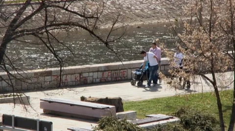 Sunny spring day 스톡 동영상 37753046