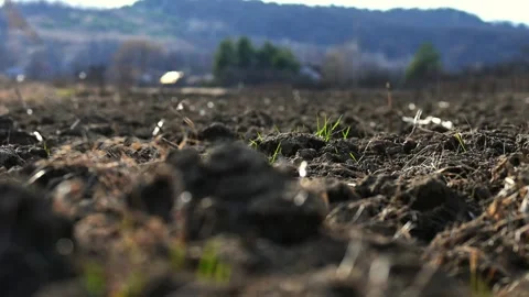 Sunny Spring Day Landscape 2 - 4K Stock Footage 266596681