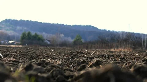 Sunny Spring Day Landscape 2 - 4K Stock Footage 266596689