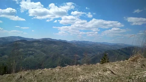 Sunny spring day in the mountains, forest Video stock 150559050