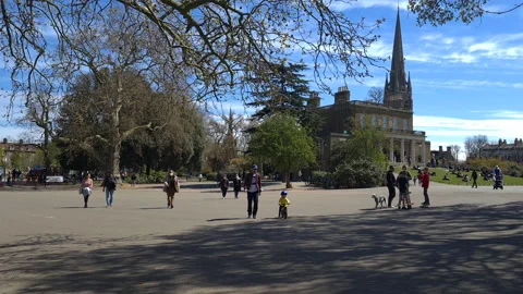 Sunny Spring day in a park. Stock Footage 152597506