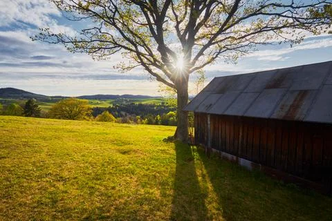 Sunny spring day Stock Photos
