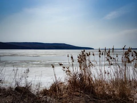 Sunny spring day, thin ice on the river, dry reeds in the foreground. Stock Photos