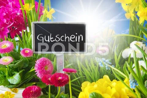 Sunny Spring Flower Meadow, Gutschein Means Voucher Stock Photos