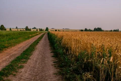 Sunny spring landscape with an earth road among agricultural fields near Dnip Stock Photos
