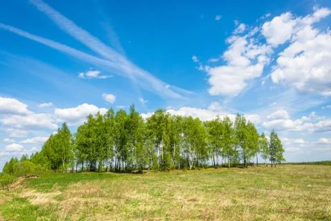 Sunny spring landscape. Stock Photos