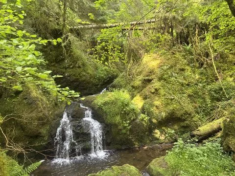 Sunny spring river surrounded by green forest and natural landscape Stock Photos