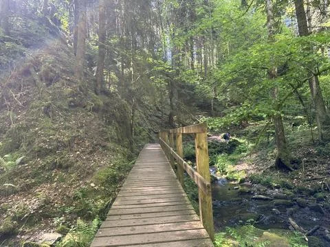 Sunny spring river surrounded by green forest and natural landscape Stock Photos