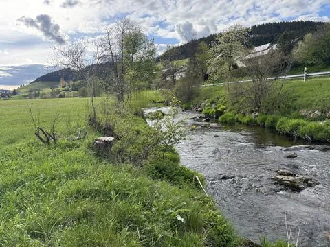 Sunny spring river surrounded by green forest and natural landscape Stock Photos