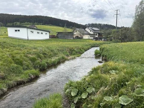 Sunny spring river surrounded by green forest and natural landscape Stock Photos