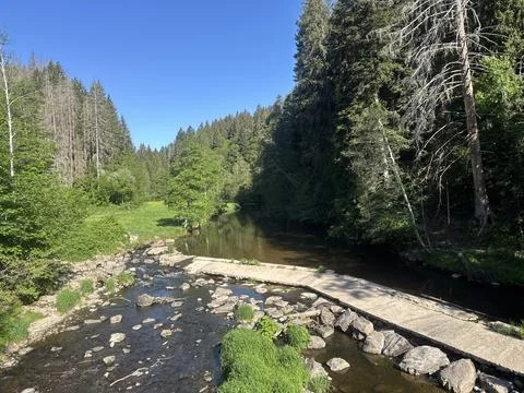 Sunny spring river surrounded by green forest and natural landscape Stock Photos