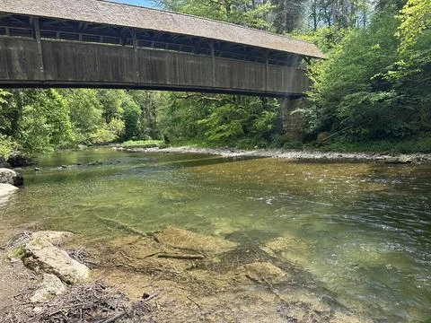 Sunny spring river surrounded by green forest and natural landscape Stock Photos
