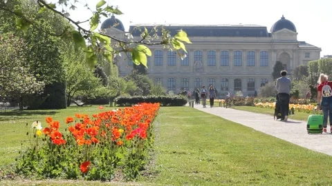 Sunny spring time in The Jardin de Plantes in Paris, France Stock Footage 153759925