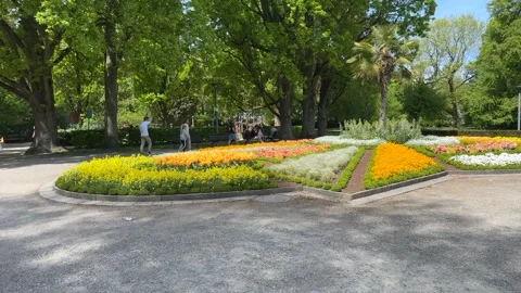 Sunny Spring Walk Through Konstanz City and Waterfront Areas Stock Footage 334799398