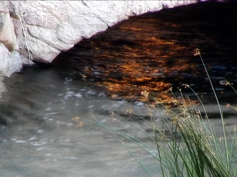 Sunny Stream Stock Footage 490008