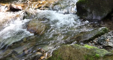 Sunny stream in the forest 스톡 동영상 231900824