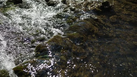 Sunny stream with rapids Stock Footage 341833083