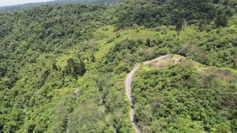 Sunny summer day. Drone Flight Stock Footage 272149384