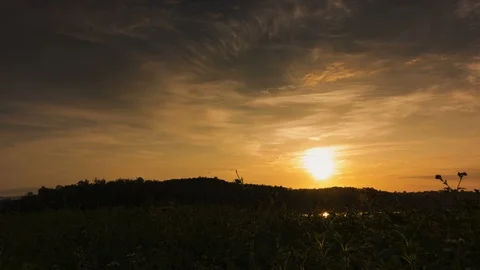Sunny summer landscape with grass fields and green meadows.Bright light of th Stock Footage 97945565