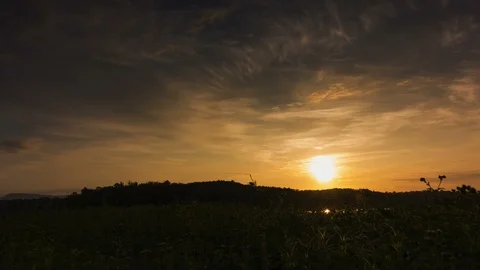 Sunny summer landscape with grass fields and green meadows.Bright light of th Stock Footage 97945951