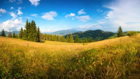 Sunny summer landscape Stock Photos