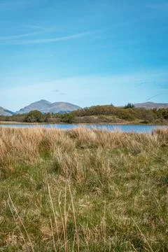 Sunny summer landscape of Scottish Highlands with tall wild grass and loch Stock Photos