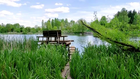 Sunny summer spring river bank Video stock 196147929