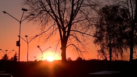 Sunny summer sunset Stock-Footage 79655673