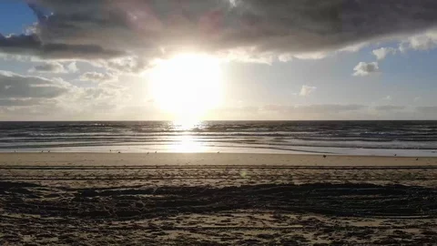 Sunny Sunrise Stock Footage 88239914