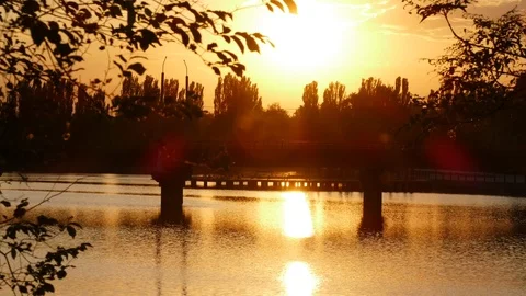 Sunny sunset Stock Footage 90542989