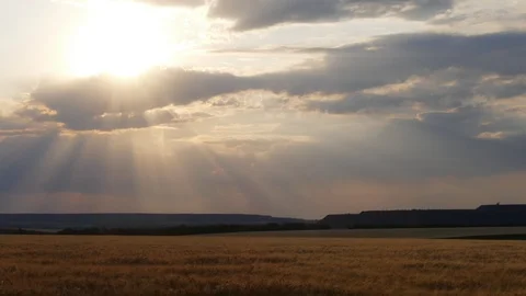 Sunny sunset Stock Footage 90628923