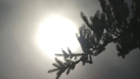 Sunny sunset Stock Footage 90966429