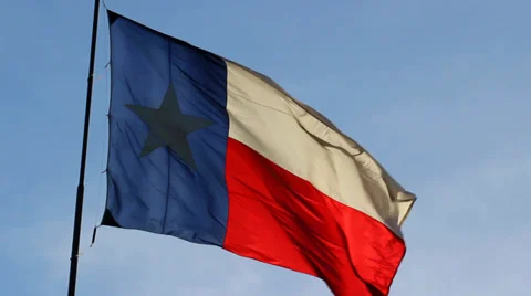 Sunny Texas Flag Stock Footage 37660102