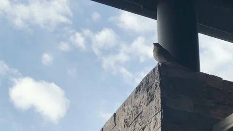 Sunny time and timelapse of clouds. Blue sky like heaven, white landscape a.. Video stock 235841194