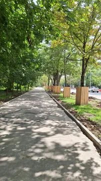 Sunny tree-lined pathway with dappled shadows in urban setting Stock Photos