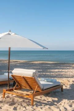 Sunny Tropical Beach Scene with Empty Lounge Chairs and Palm Trees Fotos de archivo