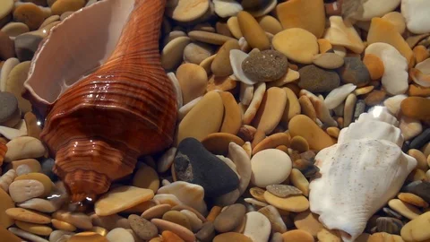 Sunny vertical panning of beach with shallow water, round pebbles close up. Stock-Footage 98097979