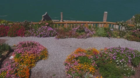 Sunny view of the flower garden on Alcatraz island Stock Footage