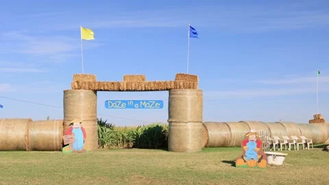 Sunny view of the fun Daze in a Maze Stock Footage 163623332