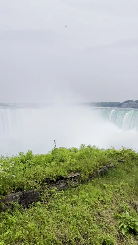 Sunny view of Niagara Falls from the Canada  side Stock Footage 342079142