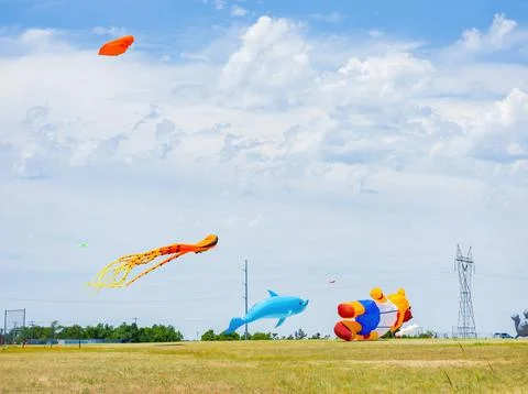 Sunny view of some kites flying Stock Photos