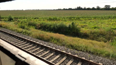Sunny view from the window of a moving train 스톡 동영상 248375871