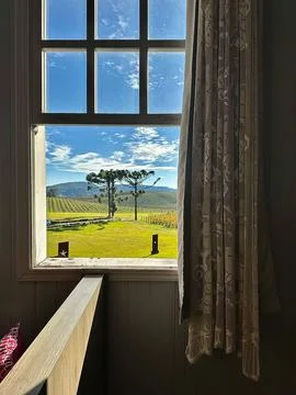 Sunny vineyard through the window 스톡 사진