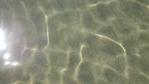 Sunny water surface Stock Footage 91245494