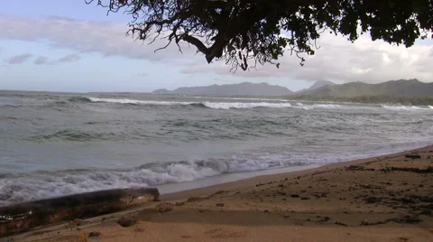 Sunny Waves Stock Footage 6530369