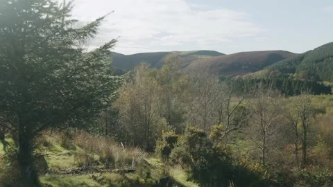 Sunny Welsh Valley Stock Footage 203905310