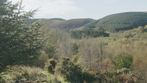 Sunny Welsh Valley Stock Footage 203905312