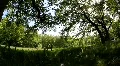 Sunny Wind 3181 HD Footage